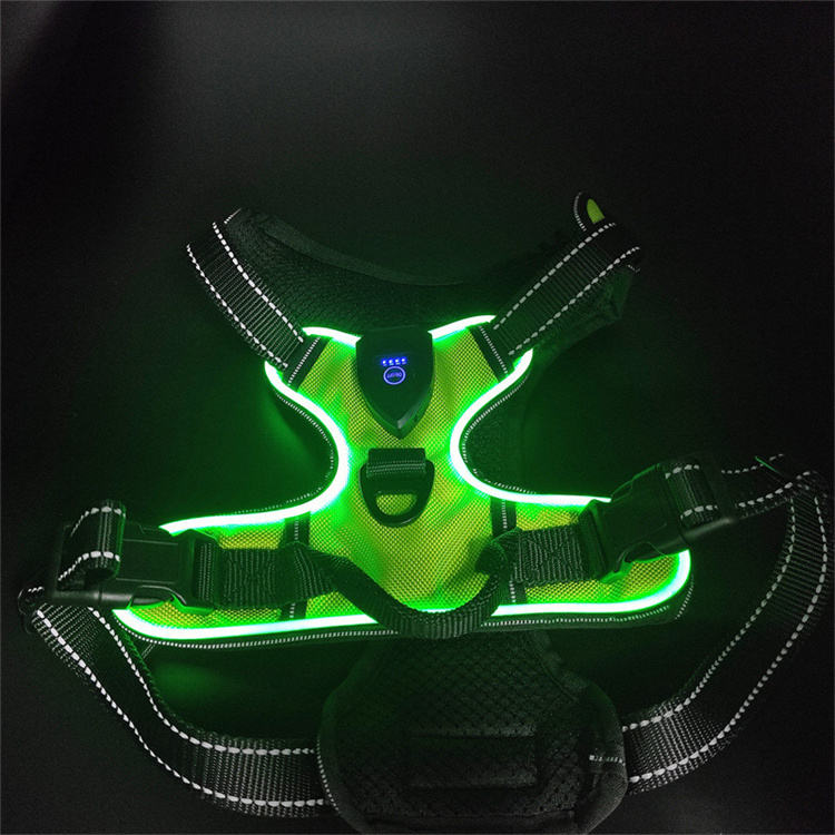 Harnais LED Rechargeable pour Chien