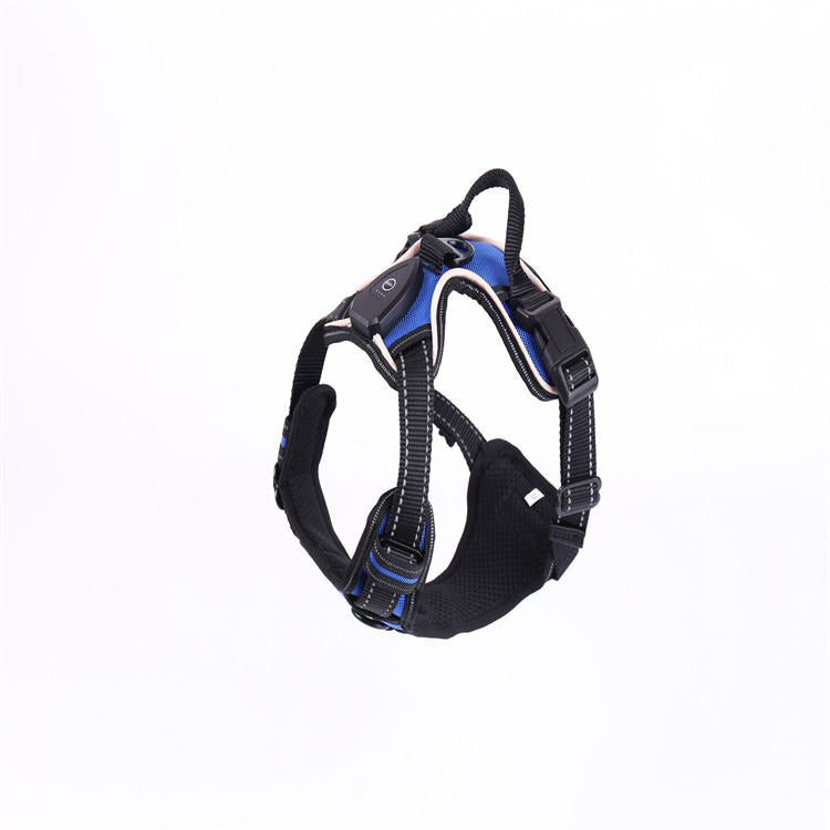 Harnais LED Rechargeable pour Chien