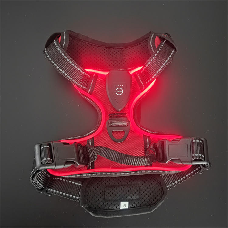 Harnais LED Rechargeable pour Chien